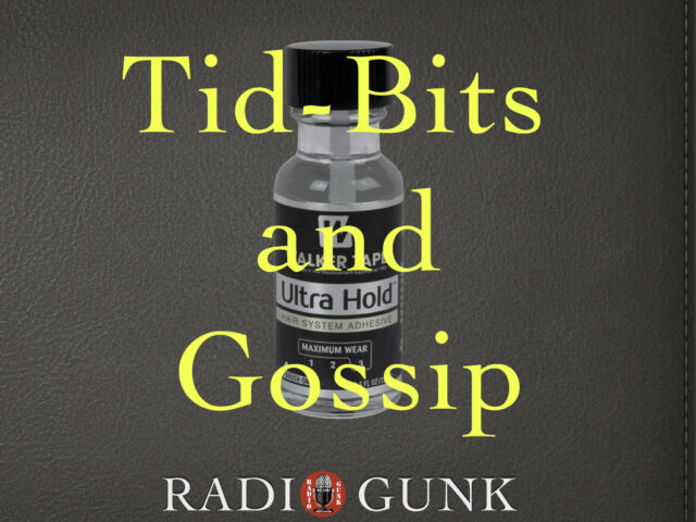 Howard Stern Tid Bits and Gossip