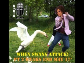 Finally! Weaks Ending May Part 2 - When Swans Attack!